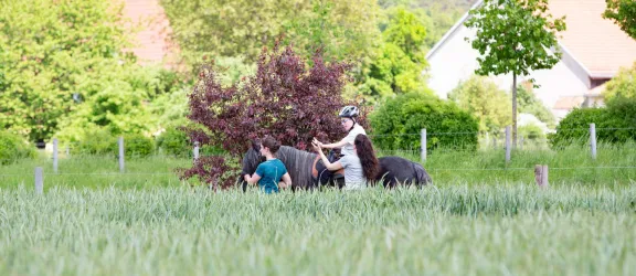 Junge auf Pferd