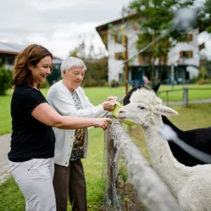 Zwei Frauen Füttern ein weißes und ein schwarzes Lama